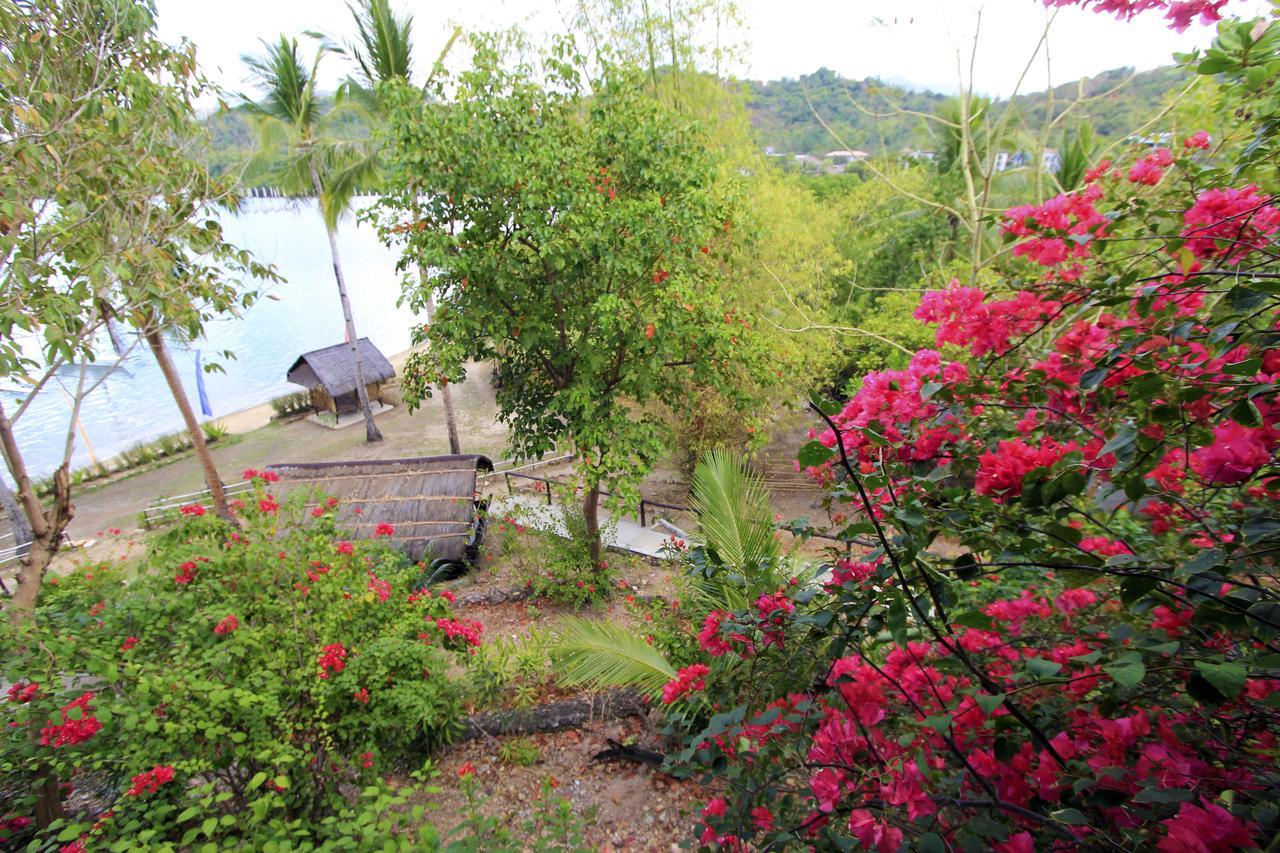 Discovery Island Resort Coron Exterior foto